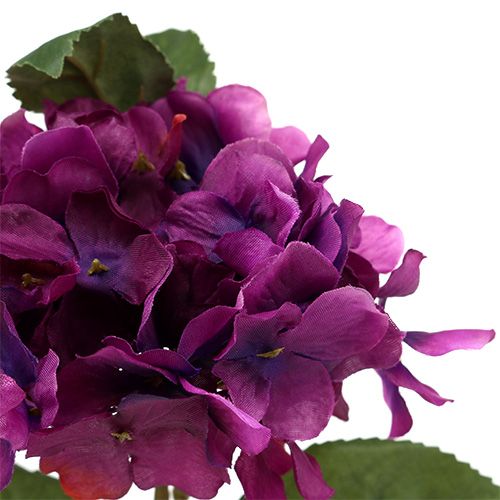Floristik24 Hortensia paars 30cm 3st