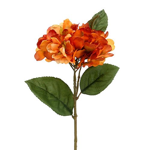 Floristik24 Hortensia oranje 30cm 3st