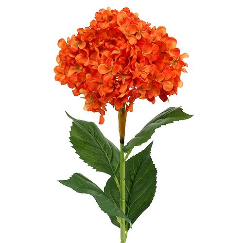 Floristik24 Hortensia oranje 80cm 1 st