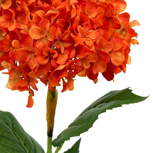 Floristik24 Hortensia oranje 80cm 1 st