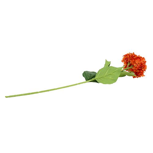 Floristik24 Hortensia oranje 80cm 1 st
