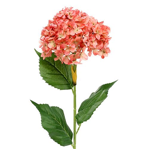 Hortensia roze 80cm 1p