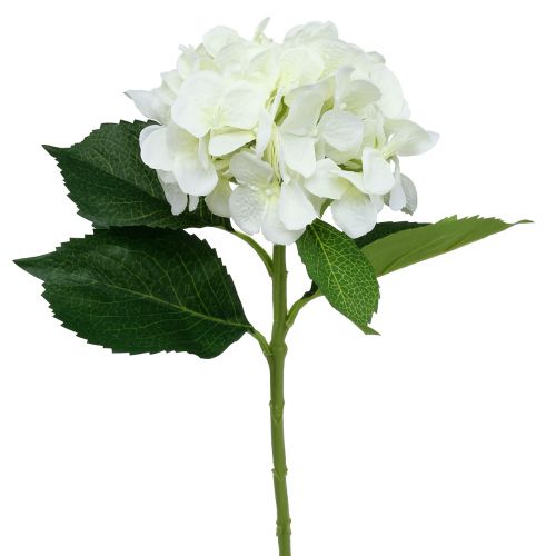 Floristik24 Hortensia wit L54cm 1 st