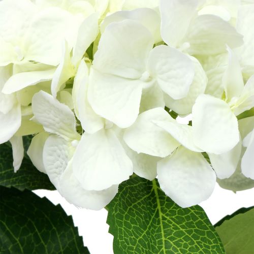 Floristik24 Hortensia wit L54cm 1 st