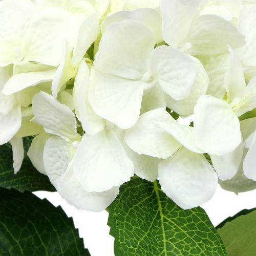 Artikel Hortensia wit L54cm 1 st