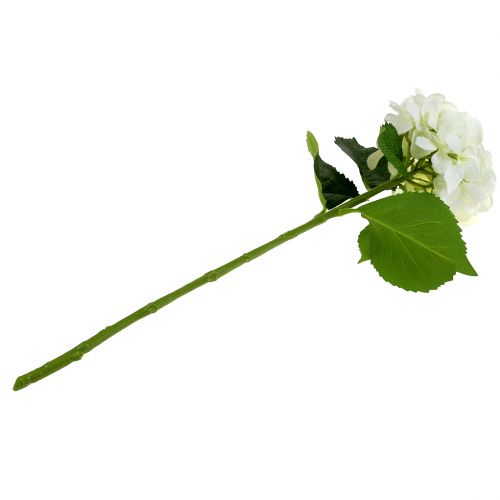 Floristik24 Hortensia wit L54cm 1 st