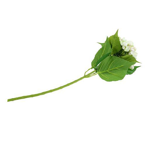 Hortensia wit-groen 60cm | Floristik24.nl