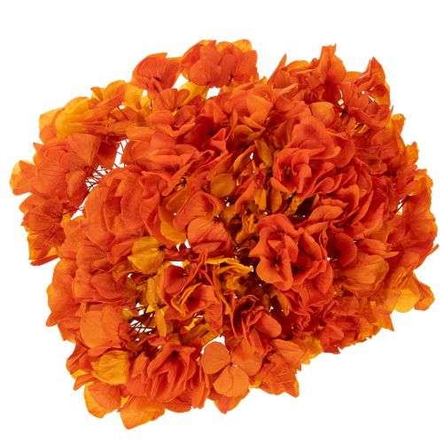 Hortensia, geconserveerd en geverfd, grote bloem met lange steel, 60 cm. | Floristik24.nl