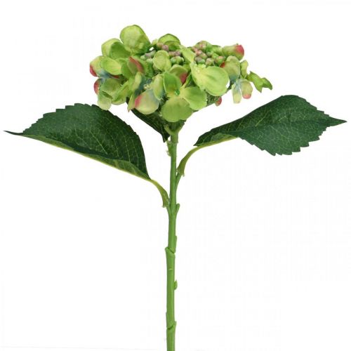 Floristik24 Hortensia kunst, bloemdecoratie, zijden bloem groen L44cm