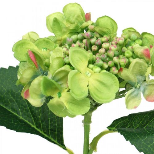 Artikel Hortensia kunst, bloemdecoratie, zijden bloem groen L44cm