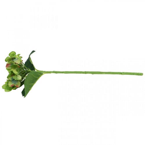 Artikel Hortensia kunst, bloemdecoratie, zijden bloem groen L44cm