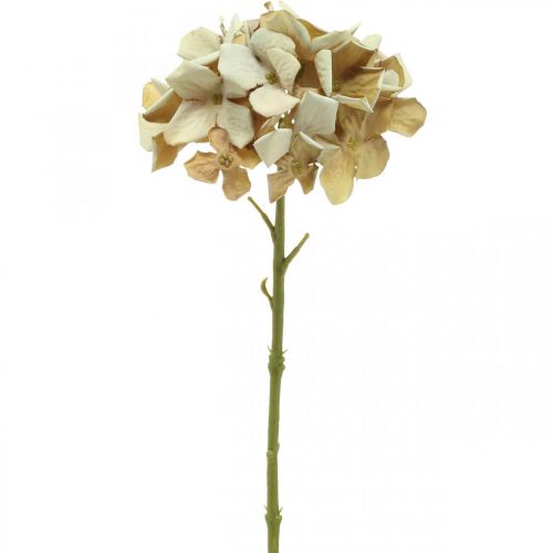Artikel Hortensia kunstbloem bruin, wit herfstdecoratie zijden bloem H32cm