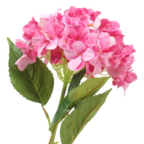 Floristik24 Hortensia groot kunstroze L110cm