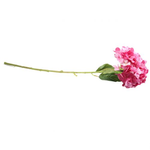 Floristik24 Hortensia groot kunstroze L110cm