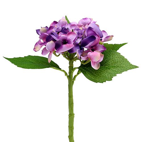 Floristik24 Hortensia paars 33cm 1st