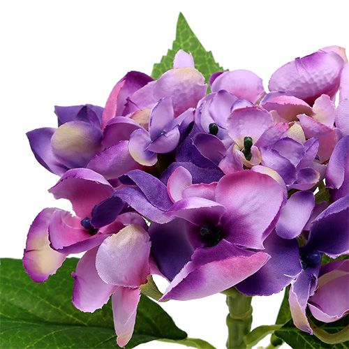 Floristik24 Hortensia paars 33cm 1st