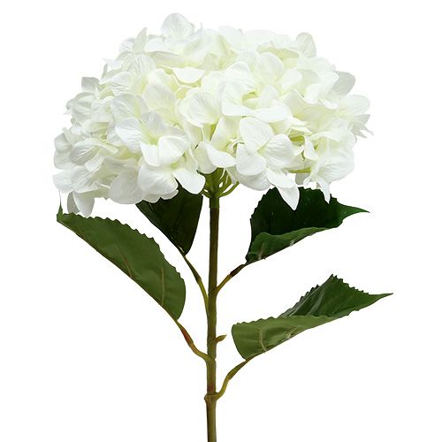 Hortensia Maxi Wit Ø30cm L113cm