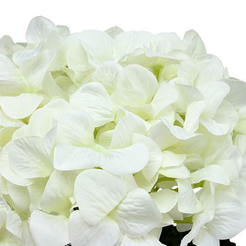 Floristik24 Hortensia Maxi Wit Ø30cm L113cm