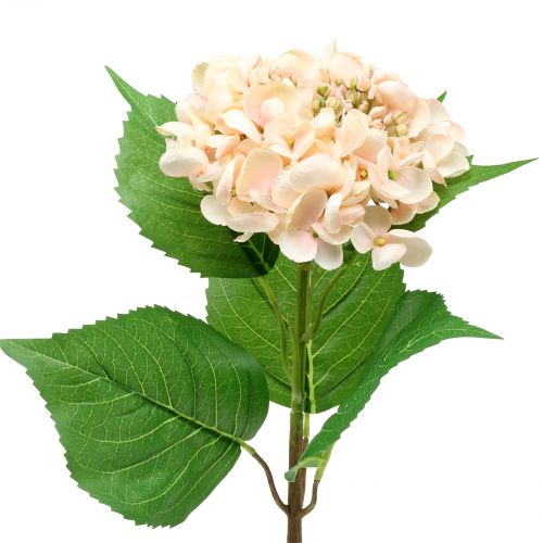 Floristik24 Hortensia kunstroze 61cm