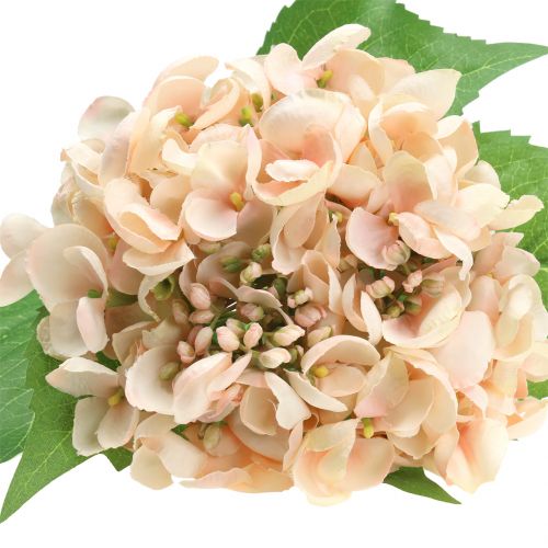 Floristik24 Hortensia kunstroze 61cm