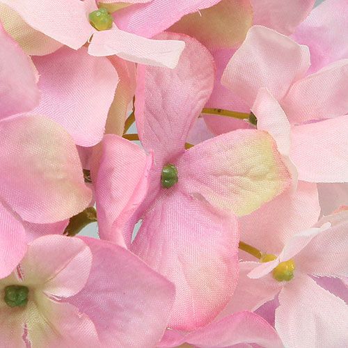Floristik24 Hortensia roze 68cm