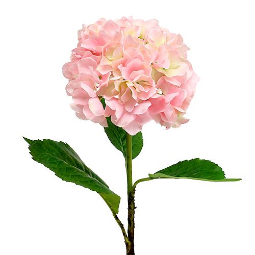 Floristik24 Hortensia roze L 70 cm