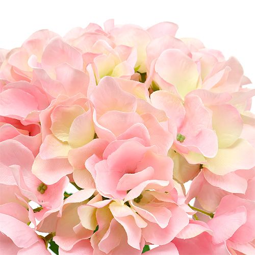 Floristik24 Hortensia roze L 70 cm