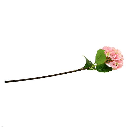 Floristik24 Hortensia roze L 70 cm