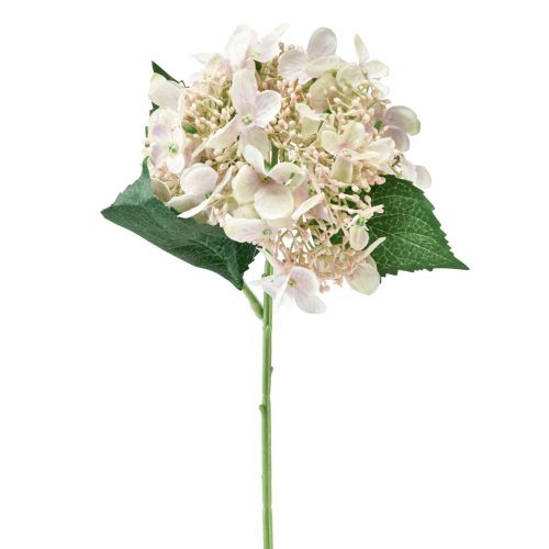 Floristik24 Hortensia kunstcreme tuinbloem met knoppen 52cm