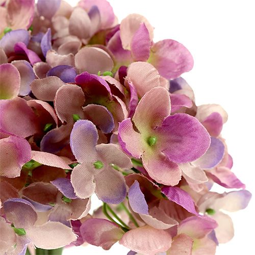 Floristik24 Hortensia bos L25cm violet
