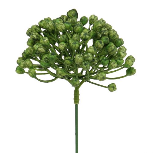 Floristik24 Hortensia knoppluk 22cm groen 12st