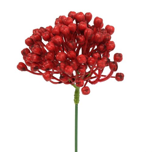 Floristik24 Hortensia knoppluk 22cm rood 12st