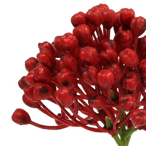 Artikel Hortensia knoppluk 22cm rood 12st