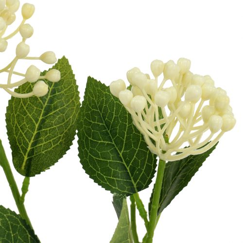 Artikel Hortensia knoptak 55cm creme 6st