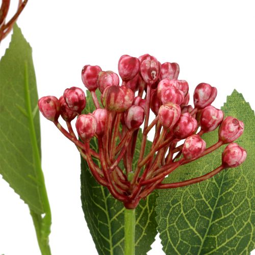 Artikel Hortensia knop tak 55cm roze 6st