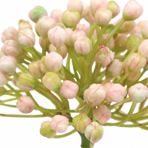 Artikel Hortensia knop steker 21cm roze 12 st.