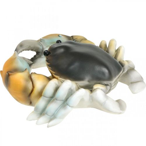 Floristik24 Zeedier, strandkrab, maritieme decoratie oranjebruin 31×25cm