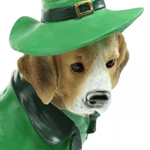 Artikel Beagle in Hat St. Patrick&#39;s Day Hond in pak Tuindecoratie Hound H24.5cm