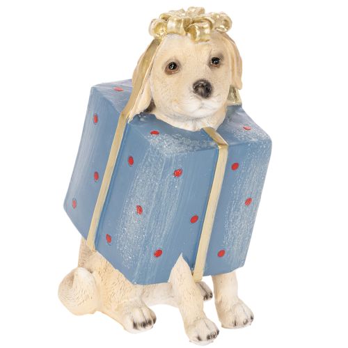 Decoratief beeldje van een zittende puppy in een geschenkdoos, 20 cm kopen | Floristik24.nl