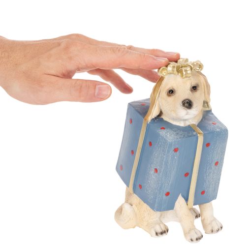 Decoratief beeldje van een zittende puppy in een geschenkdoos, 20 cm | Floristik24.nl