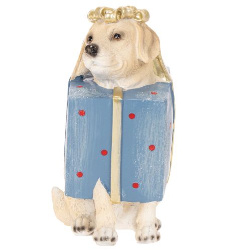 Decoratief beeldje van een zittende puppy in een geschenkdoos, 20 cm | Floristik24.nl