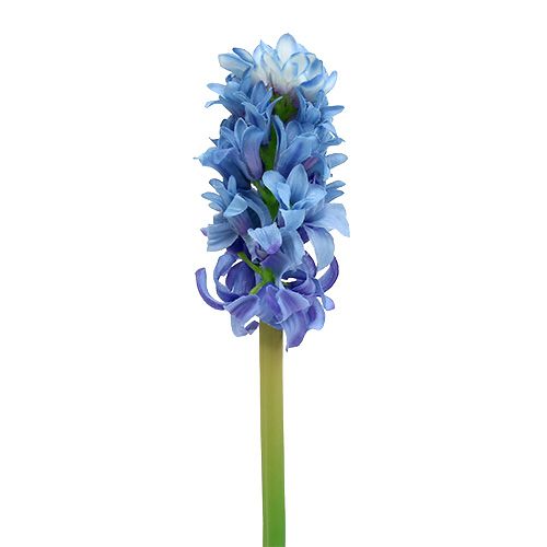 Floristik24 Hyacint kunstmatig blauw, wit 31cm 3st