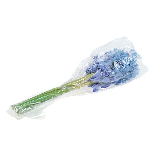 Floristik24 Hyacint kunstmatig blauw, wit 31cm 3st