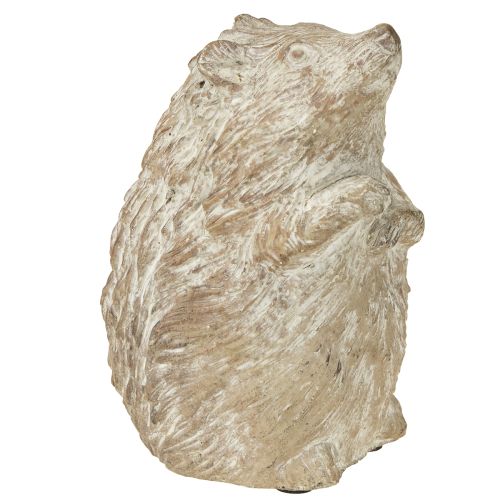Floristik24 Egel herfstdecoratie figuur gegoten steen wit gewassen H14,5cm