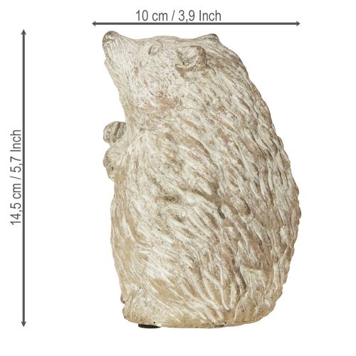 Floristik24 Egel herfstdecoratie figuur gegoten steen wit gewassen H14,5cm