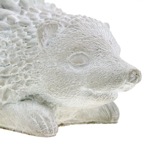 Floristik24 Tuinfiguur egel 18.5cm x 11.5cm