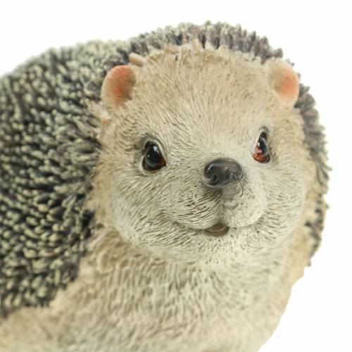 Floristik24 Decoratief figuur egel 22cm