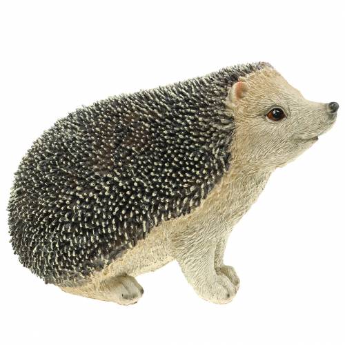Floristik24 Decoratief figuur egel 22cm