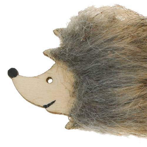 Floristik24 Herfstdecoratie egel met vacht 7cm 24 st