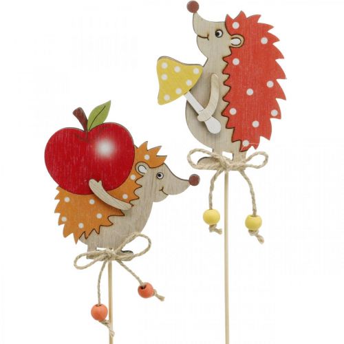 Floristik24 Bloem stok egel, houten decoratie, herfst figuur H9.5cm L32cm 12st